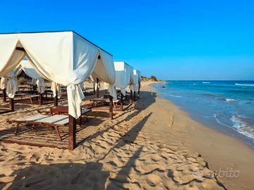 Trullo fronte spiaggia a 50m dal mare