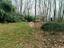 Immagine 28