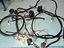 Immagine 6