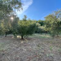 Terreno agricolo più porzione con rustico edificab