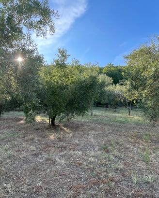 Terreno agricolo più porzione con rustico edificab