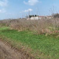 RGE 329/2022 Tribunale Verona