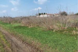 RGE 329/2022 Tribunale Verona