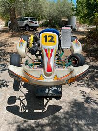 Go Kart 100 Tony Kart - Motore IAME