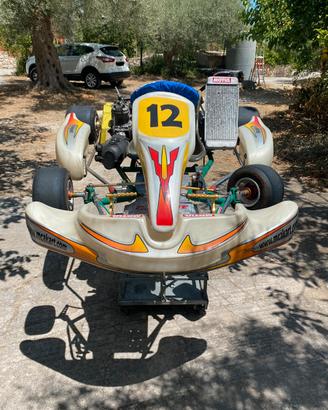Go Kart 100 Tony Kart - Motore IAME