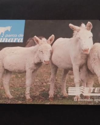 Scheda telefonica tiratura limitata