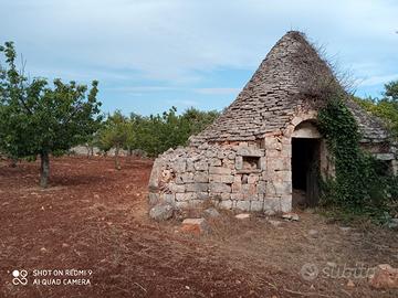 Terreno agricolo edificabile