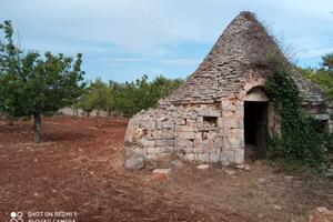 Terreno agricolo edificabile