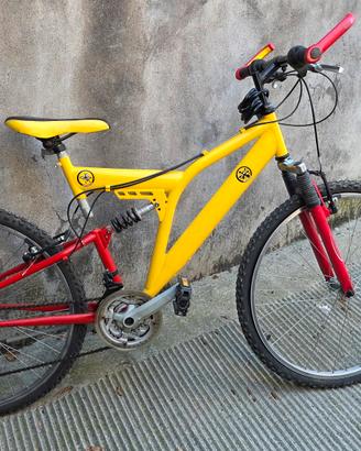 Bicicletta Mountain Bike ragazzo