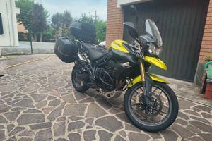 Triumph Tiger 800 ABS del 2011