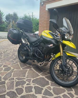 Triumph Tiger 800 ABS del 2011