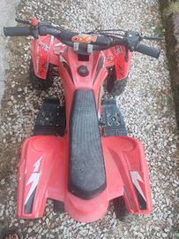 mini quad