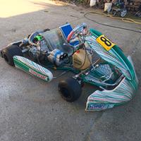 tony kart 401 RR vortex rtz