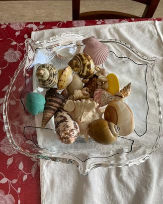 Set conchiglie per la casa con vaso