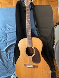 Chitarra walden