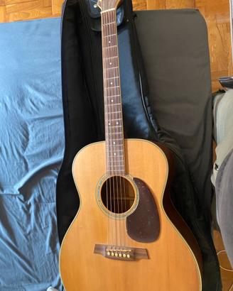 Chitarra walden