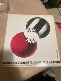 Libro “Bianconero granata colori ed emozioni”