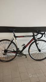 Bici Daccordi Vero Full Carbon