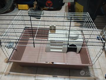 gabbia per cavia peruviana 