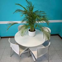 Tavolo rotondo da ufficio con sedie