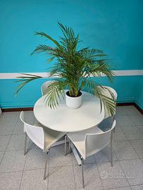 Tavolo rotondo da ufficio con sedie