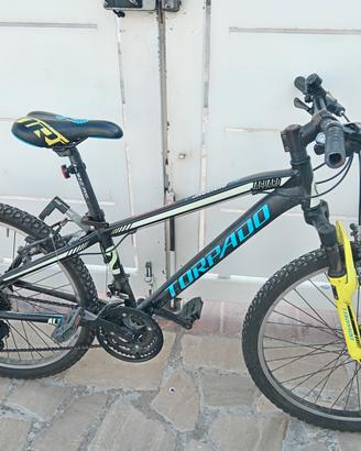 Bici torpato n 24 bambino 