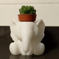 Elefantino Vasetto decorativo  stampato in 3D 