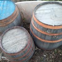 Botti da vino per uso decorativo o per restauro