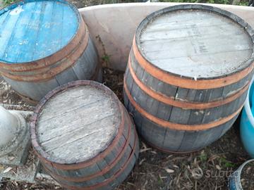 Botti da vino per uso decorativo o per restauro