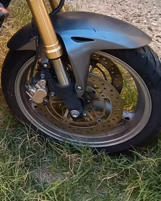 Parafango anteriore Honda Hornet600 03/06