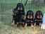 Immagine 3