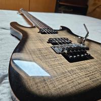 Harley benton fusion iii HH FR