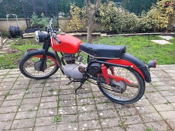 GILERA 150 ANNO 1952 DA ESPOSIZIONE . NO TARGA