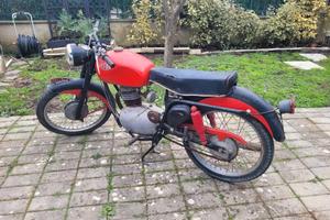 GILERA 150 ANNO 1952 DA ESPOSIZIONE . NO TARGA