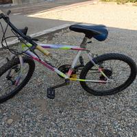 Mountain bike n.20