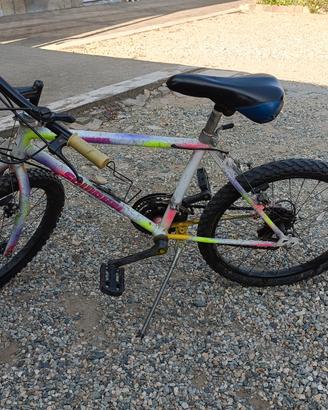 Mountain bike n.20