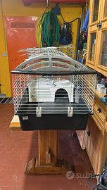 Gabbia x roditori piu recinto da esterno