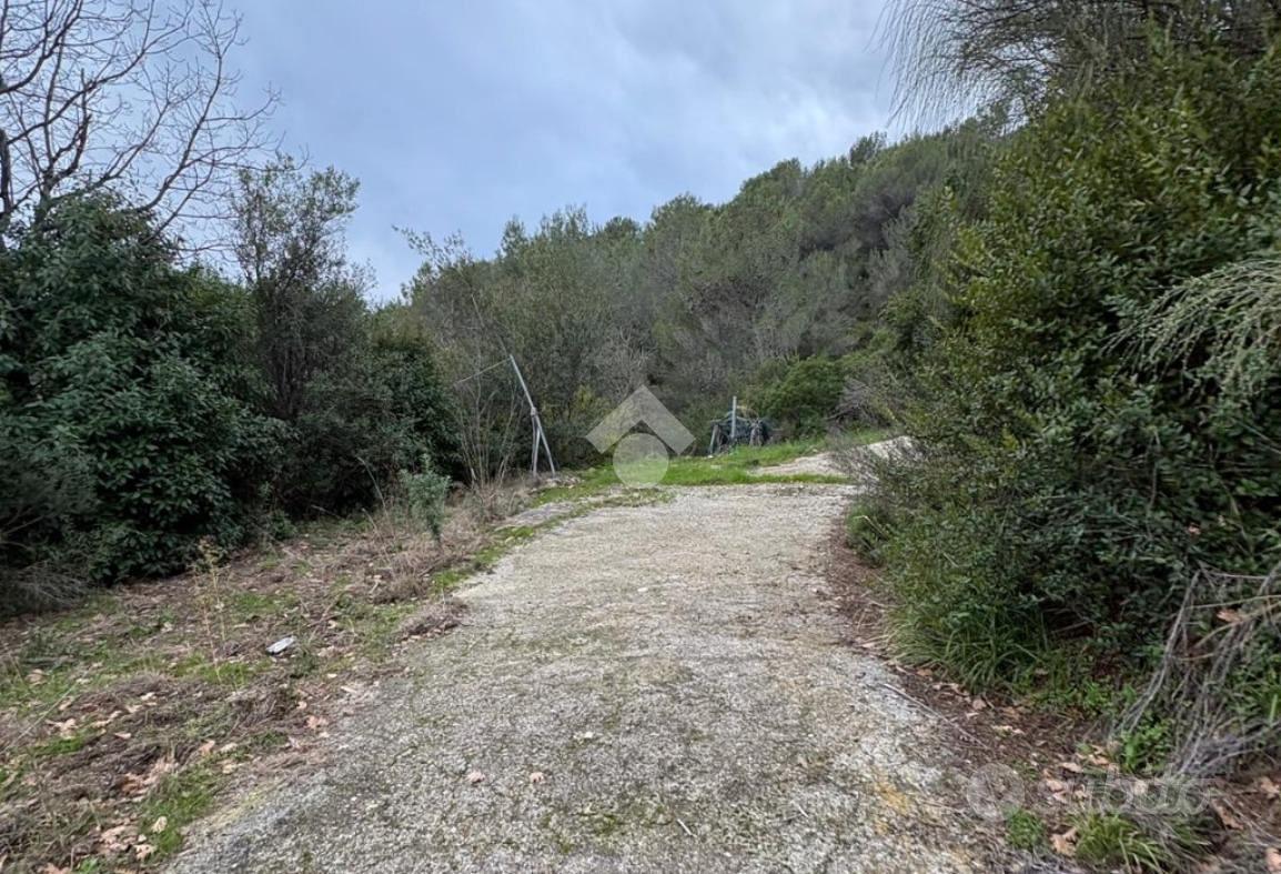 TER. AGRICOLO A VENTIMIGLIA - Vista 2
