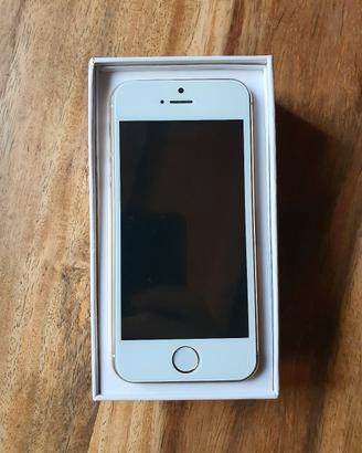 iPhone 5S non funzionante 
