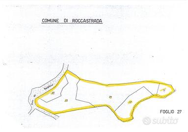 Terreno con bosco da tagliare