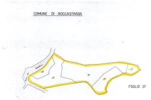 Terreno con bosco da tagliare