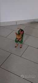 Disponibile chihuahua per monta