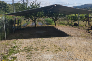 Copertura per auto in ferro zincato