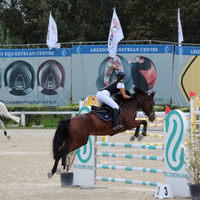 Cavallo da salto razza Sella Italiana