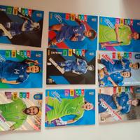 carte panini azzurri 2024 adrenalyn