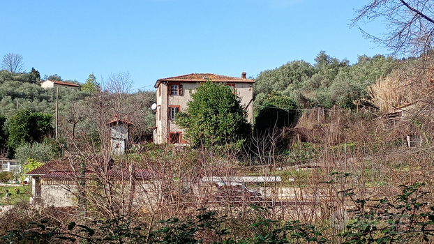 Rustico con uliveto e terreno vista mare