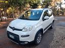 fiat-panda-4x4-m-jet-75-cv-antartica