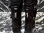 Immagine 4