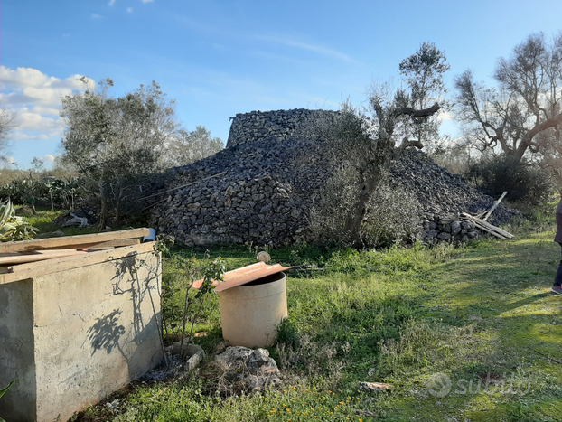 Terreno con trulli