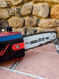 Tagliarami-Potatore telescopico